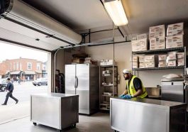 Frozen Food Business