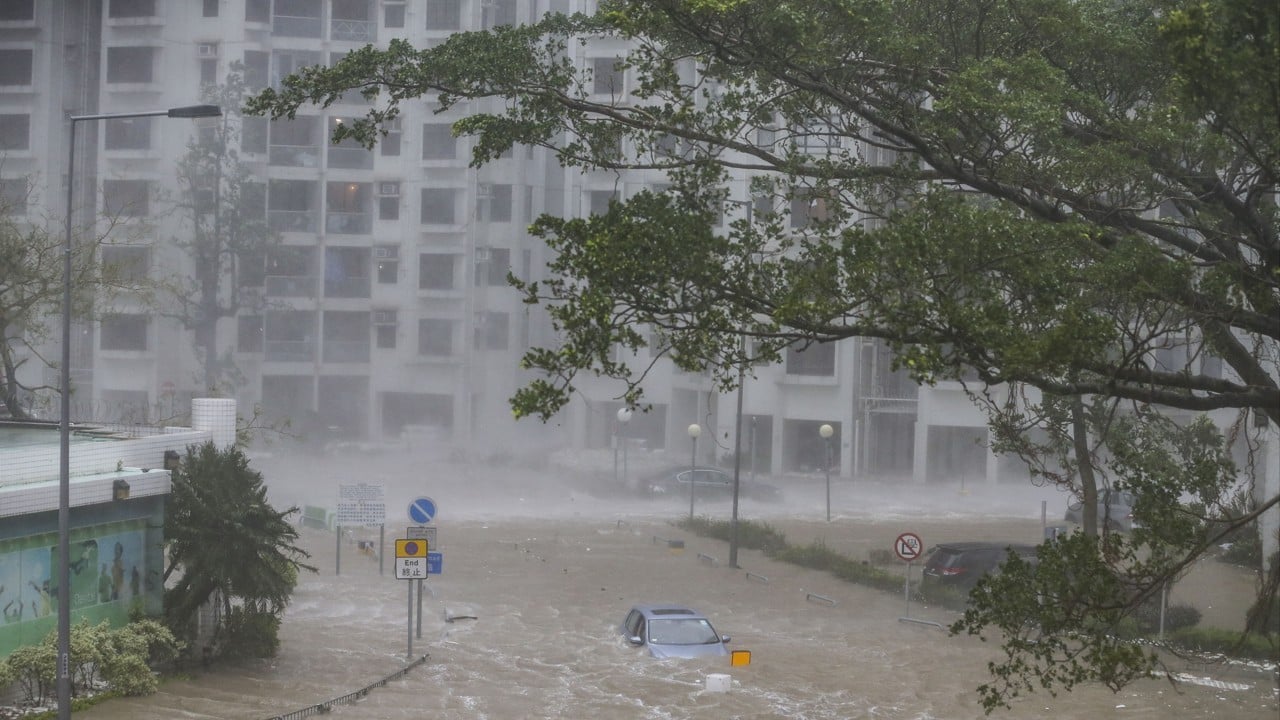 Typhoon